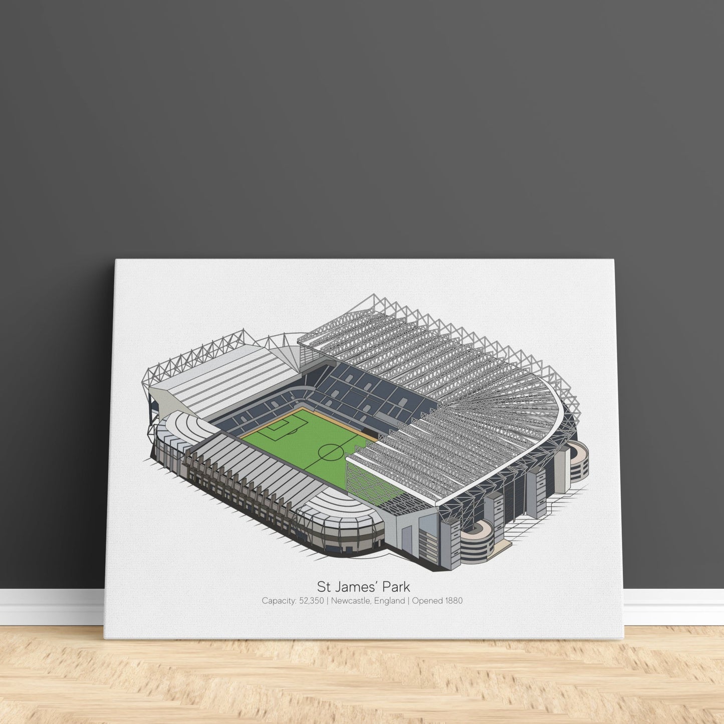St James' Park Stadium Print