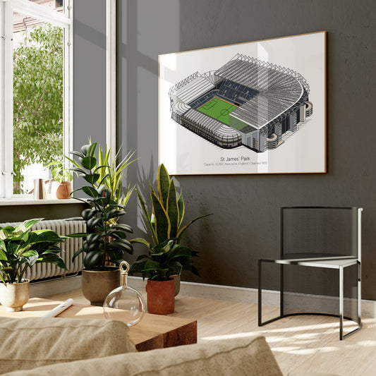 St James' Park Stadium Print